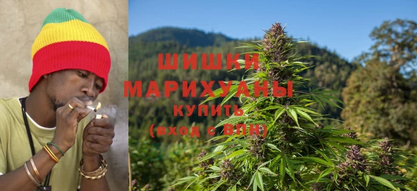 бошки Нея