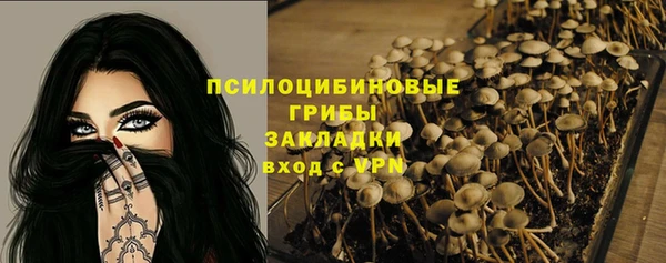 spice Баксан